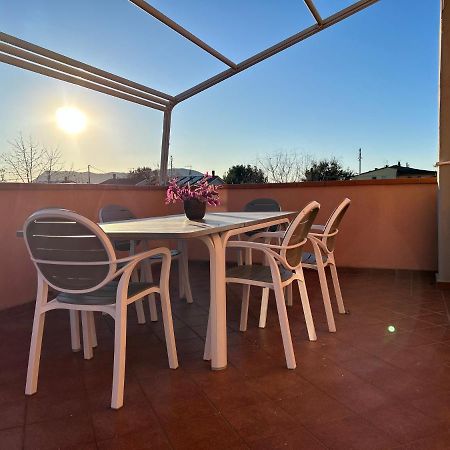 Albi'S House,Terrazza ,Wi-Fi, Parcheggio, Ac Leilighet Lucca Eksteriør bilde
