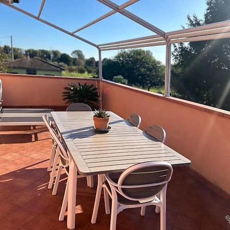 Albi'S House,Terrazza ,Wi-Fi, Parcheggio, Ac Leilighet Lucca Eksteriør bilde