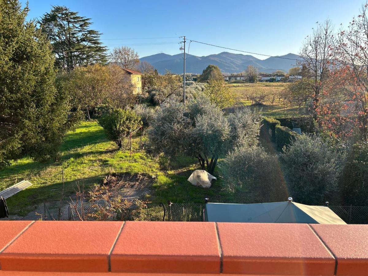 Albi'S House,Terrazza ,Wi-Fi, Parcheggio, Ac Leilighet Lucca Eksteriør bilde