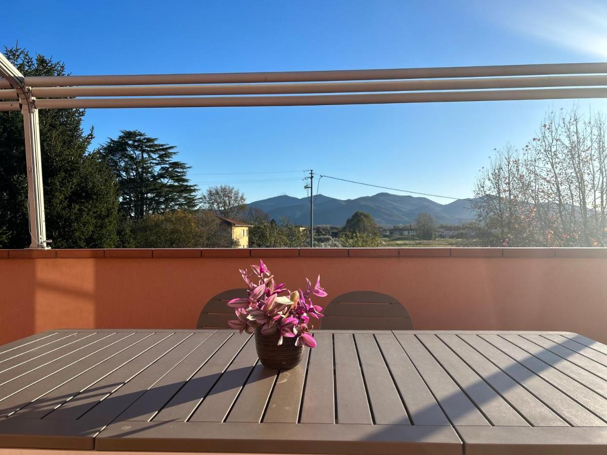 Albi'S House,Terrazza ,Wi-Fi, Parcheggio, Ac Leilighet Lucca Eksteriør bilde