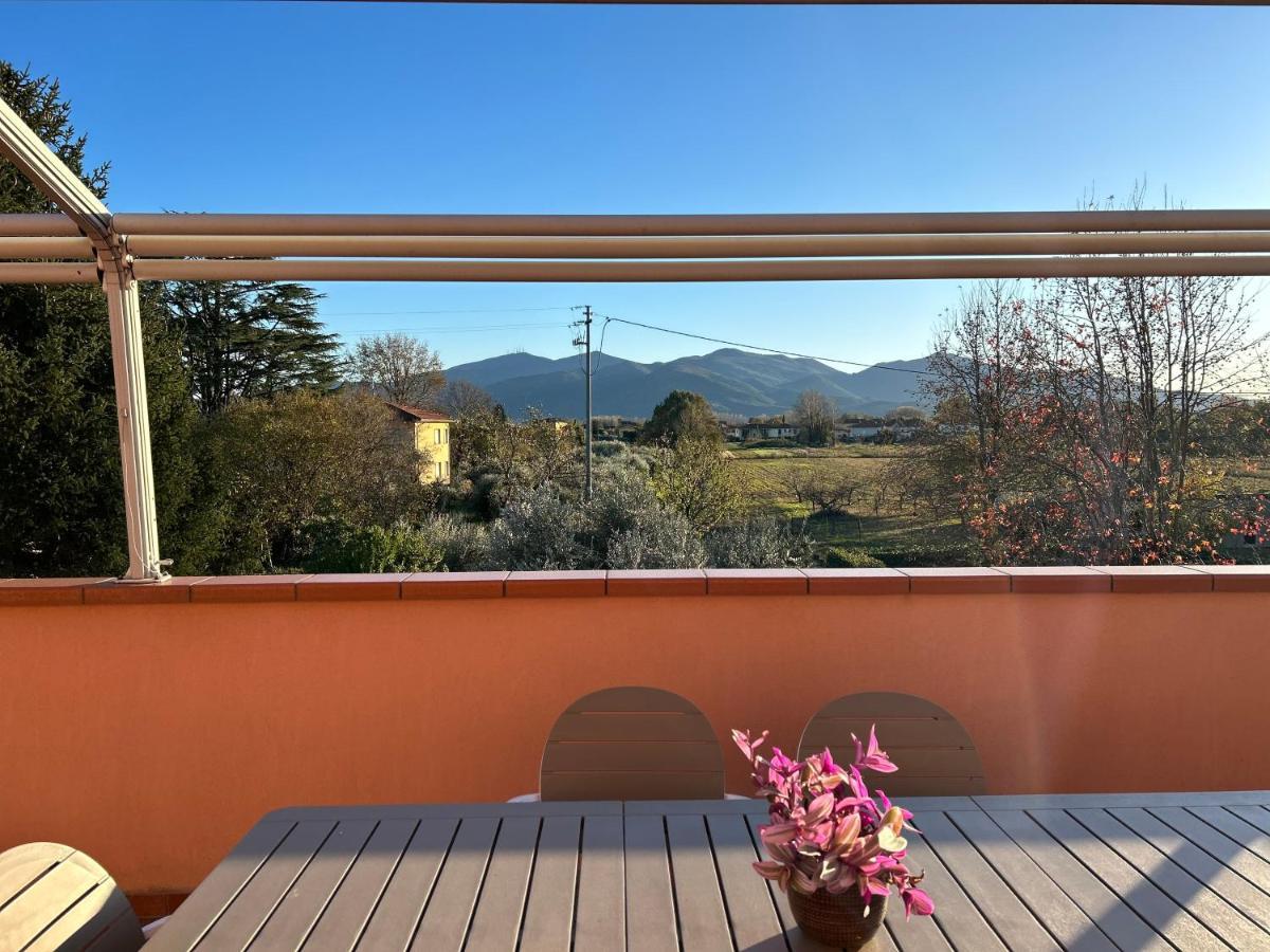 Albi'S House,Terrazza ,Wi-Fi, Parcheggio, Ac Leilighet Lucca Eksteriør bilde