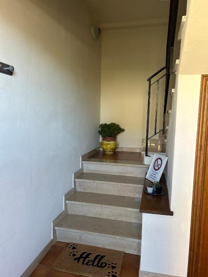 Albi'S House,Terrazza ,Wi-Fi, Parcheggio, Ac Leilighet Lucca Eksteriør bilde